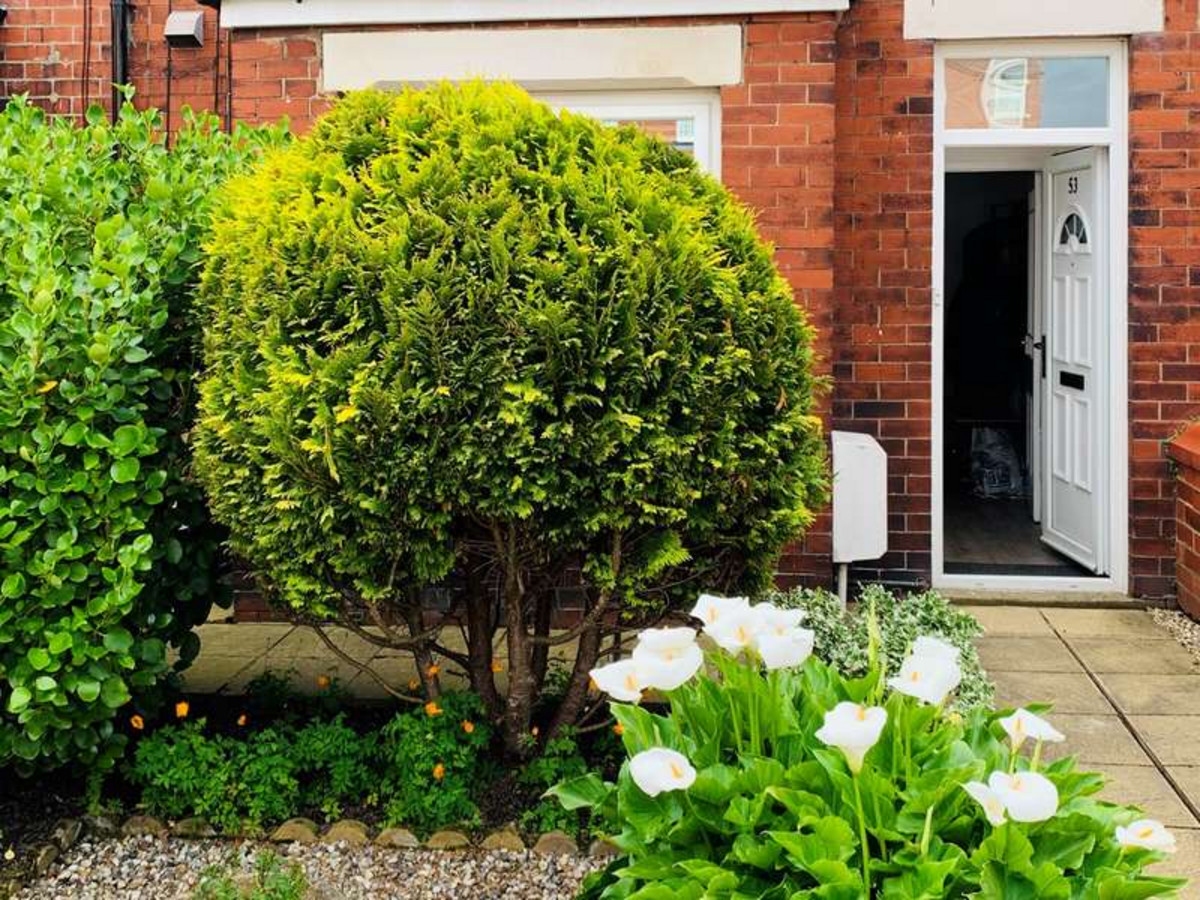 Property enquiry form background image